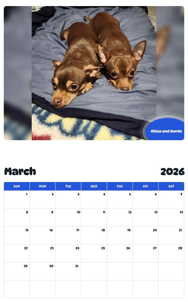 November 2025 - October 2026 Chica and Gorda - Pawidols Pet Calendar