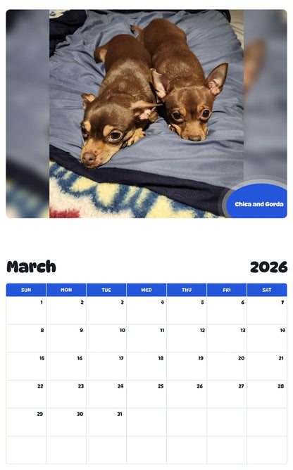 November 2025 - October 2026 Chica and Gorda - Pawidols Pet Calendar