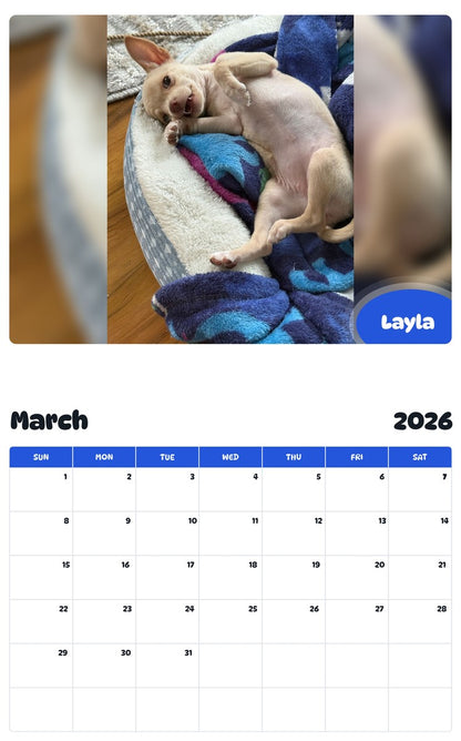 November 2025 - October 2026 Layla - Pawidols Pet Calendar