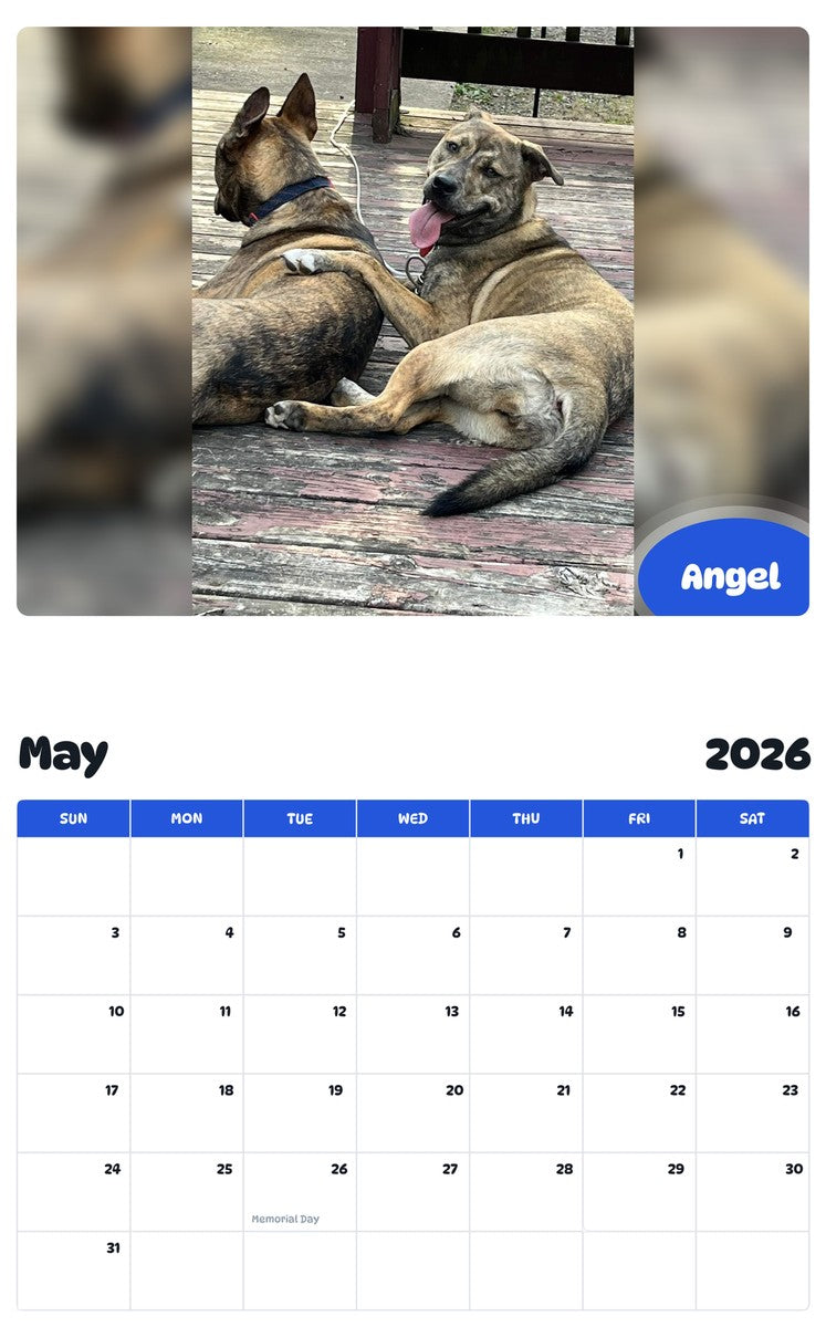 2026 - 2027 Angel - Pawidols Pet Calendar
