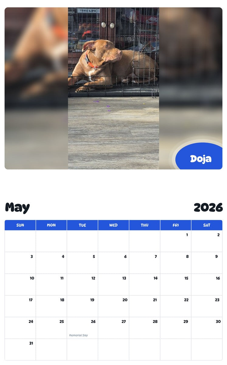 2026 - 2027 Doja - Pawidols Pet Calendar
