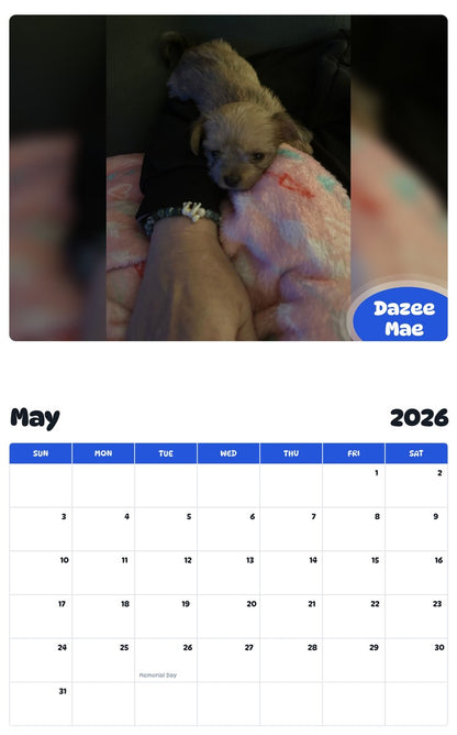 2026 - 2027 Dazee Mae - Pawidols Pet Calendar