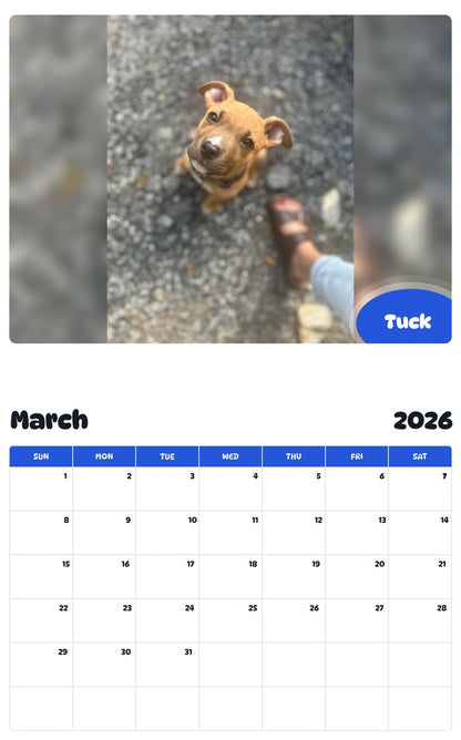 November 2025 - October 2026 Tuck - Pawidols Pet Calendar