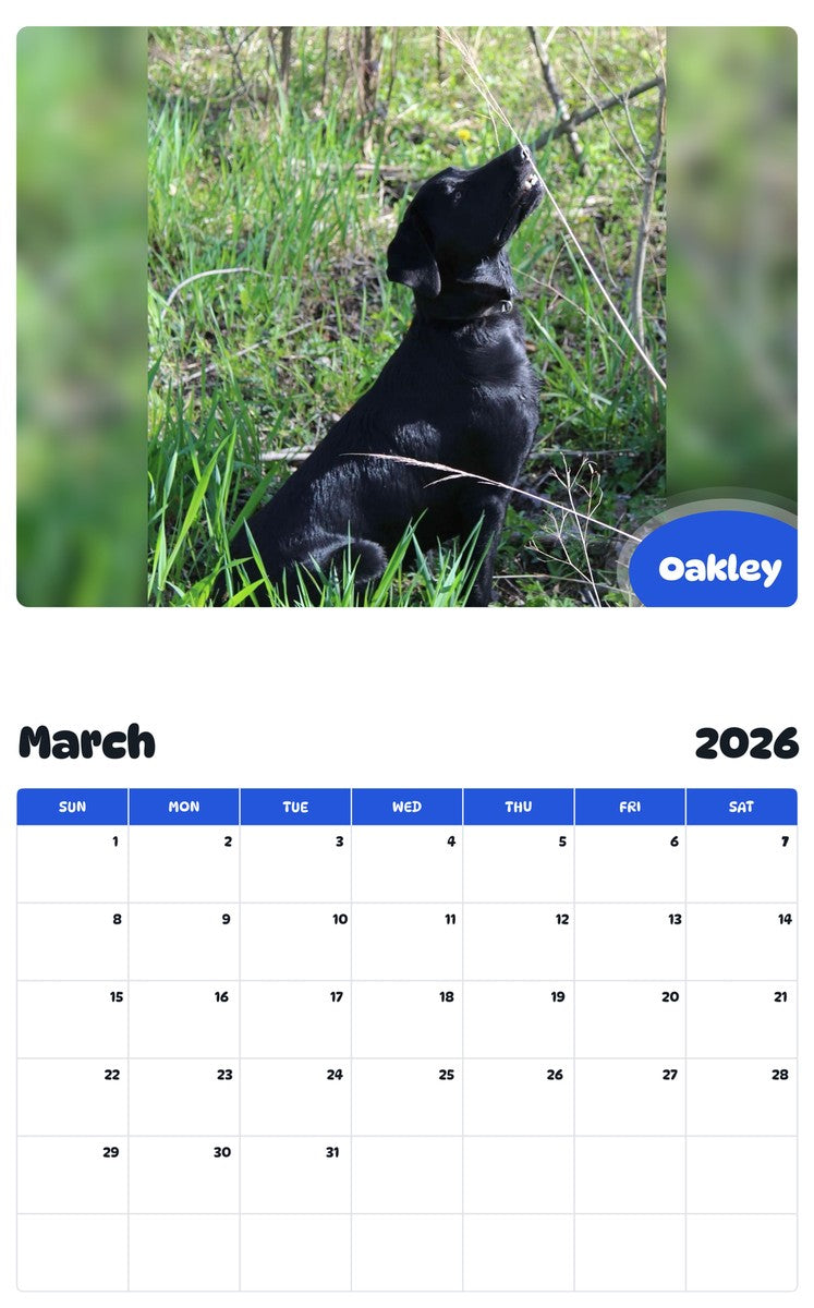 November 2025 - October 2026 Oakley - Pawidols Pet Calendar