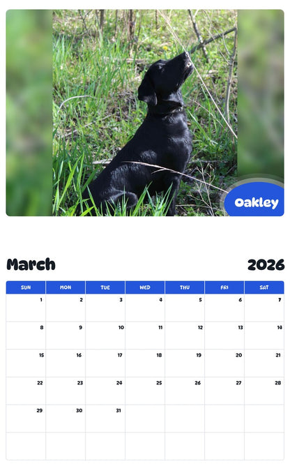 November 2025 - October 2026 Oakley - Pawidols Pet Calendar