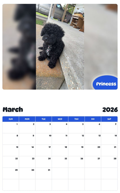 November 2025 - October 2026 Princess - Pawidols Pet Calendar
