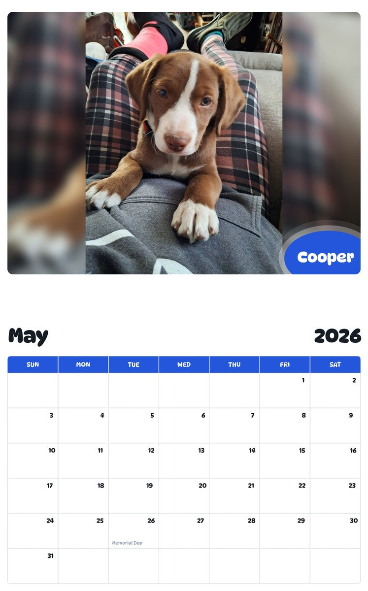 2026 - 2027 Cooper - Pawidols Pet Calendar