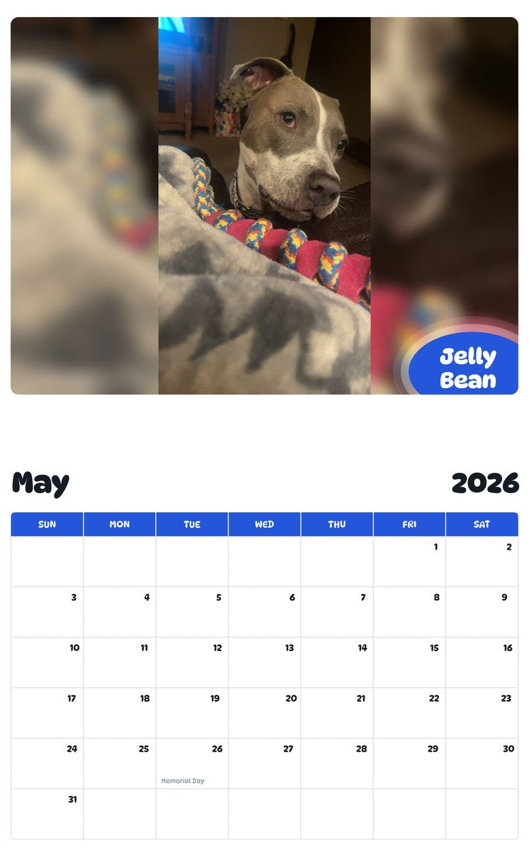 2026 - 2027 Jelly Bean - Pawidols Pet Calendar