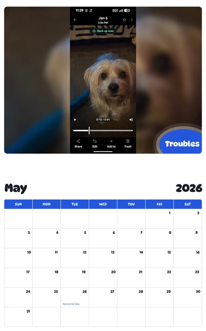 2026 - 2027 Troubles - Pawidols Pet Calendar