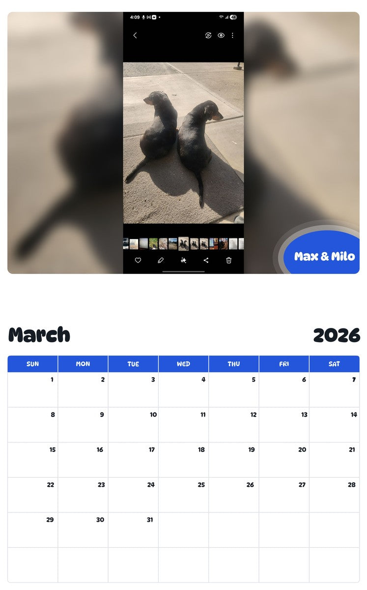 November 2025 - October 2026 Max & Milo - Pawidols Pet Calendar