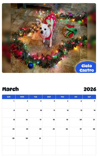 November 2025 - October 2026 Cielo Castro - Pawidols Pet Calendar