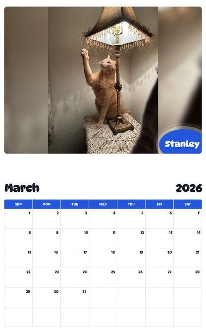 November 2025 - October 2026 Stanley - Pawidols Pet Calendar