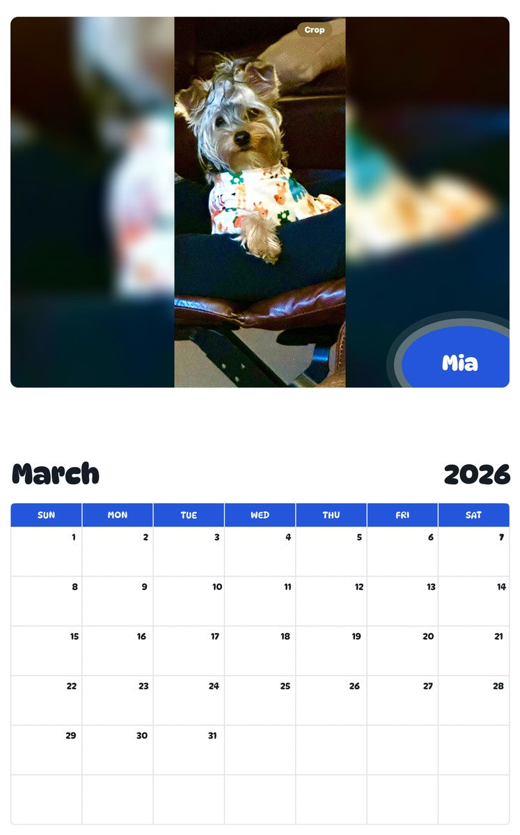 November 2025 - October 2026 Mia - Pawidols Pet Calendar