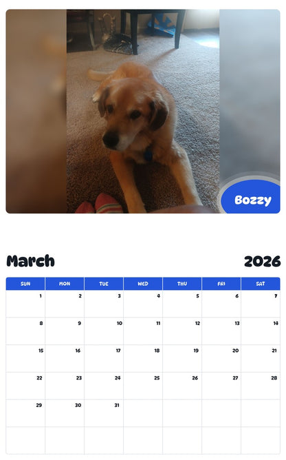 November 2025 - October 2026 Bozzy - Pawidols Pet Calendar