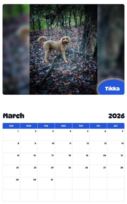 November 2025 - October 2026 Tikka - Pawidols Pet Calendar