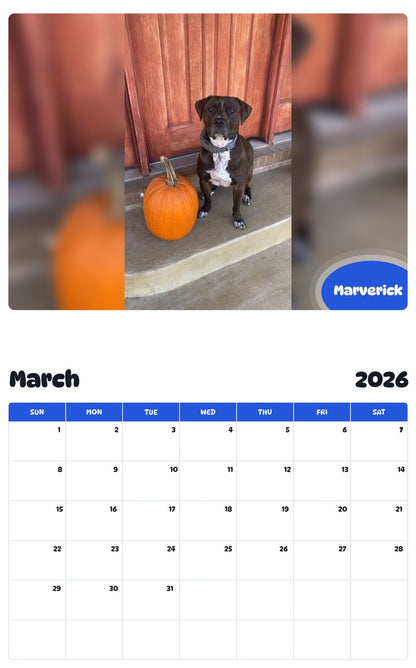 November 2025 - October 2026 Marverick - Pawidols Pet Calendar