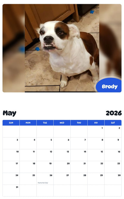2026 - 2027 Brody - Pawidols Pet Calendar