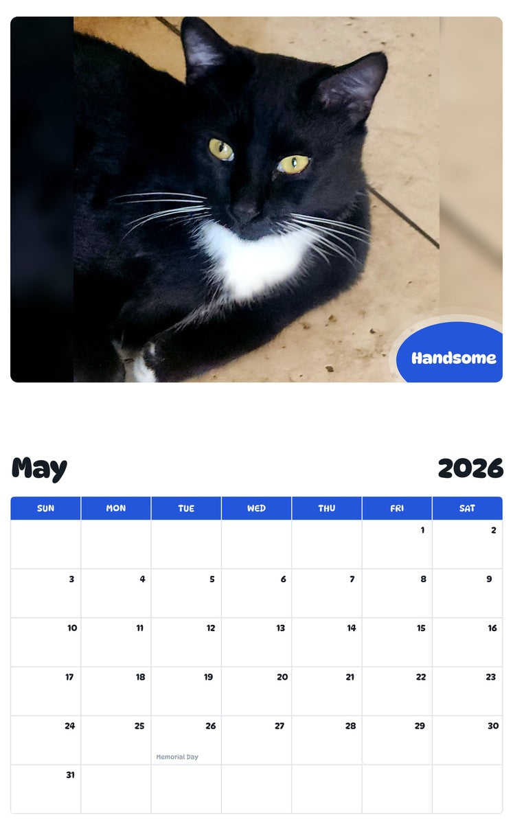 2026 - 2027 Handsome - Pawidols Pet Calendar