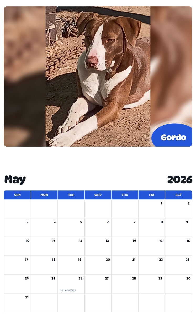 2026 - 2027 Gordo - Pawidols Pet Calendar