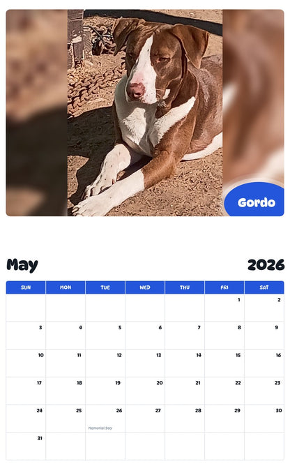 2026 - 2027 Gordo - Pawidols Pet Calendar