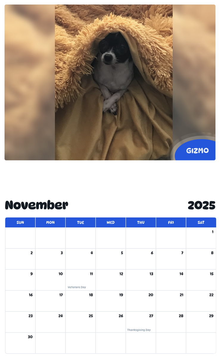 July 2025 - June 2026 Gizmo - Pawidols Pet Calendar