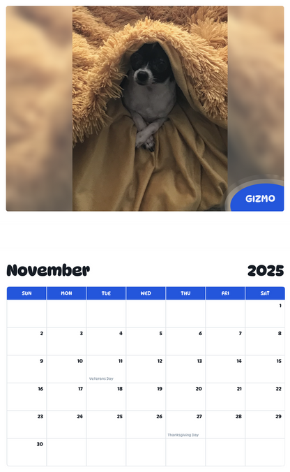 July 2025 - June 2026 Gizmo - Pawidols Pet Calendar