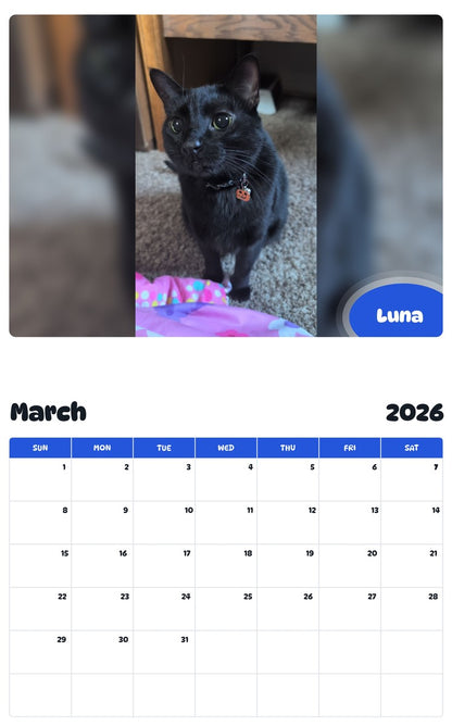 November 2025 - October 2026 Luna - Pawidols Pet Calendar