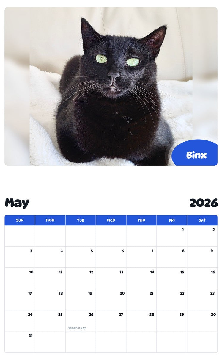 2026 - 2027 Binx - Pawidols Pet Calendar