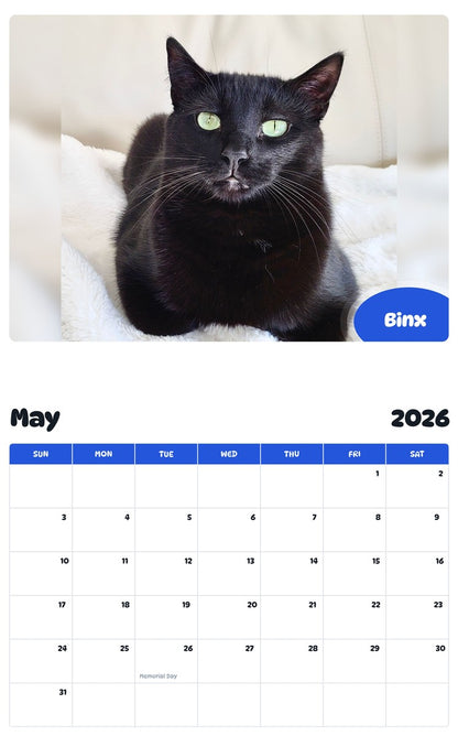 2026 - 2027 Binx - Pawidols Pet Calendar