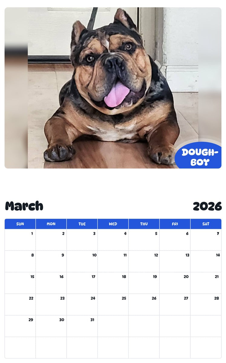 November 2025 - October 2026 DOUGH-BOY - Pawidols Pet Calendar