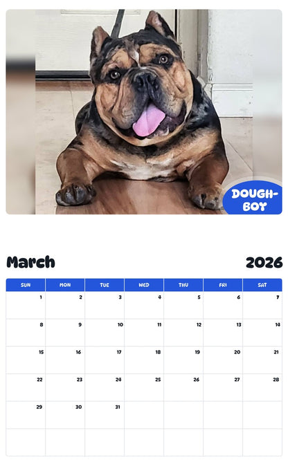 November 2025 - October 2026 DOUGH-BOY - Pawidols Pet Calendar