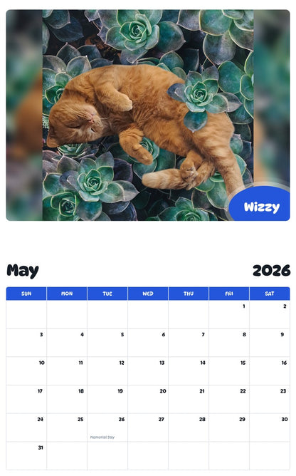 2026 - 2027 Wizzy - Pawidols Pet Calendar