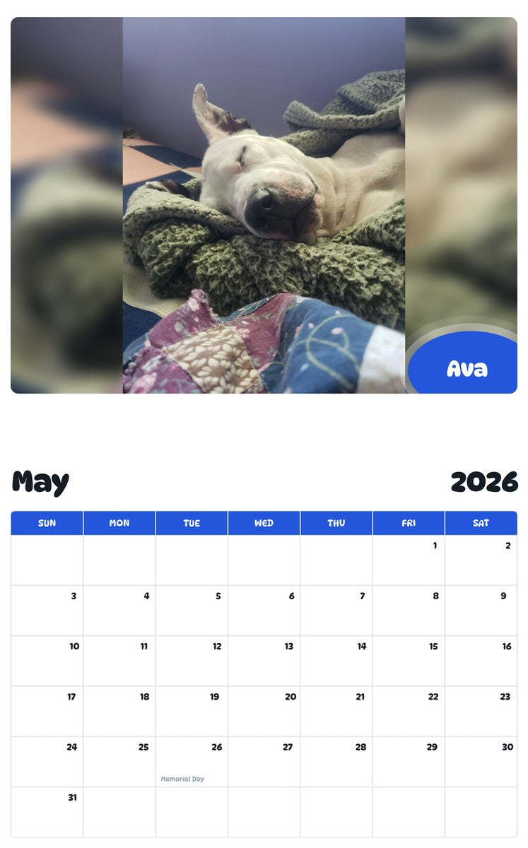 2026 - 2027 Ava - Pawidols Pet Calendar