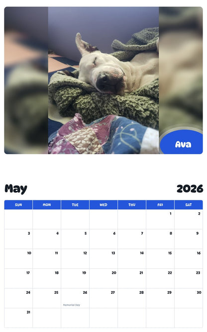 2026 - 2027 Ava - Pawidols Pet Calendar
