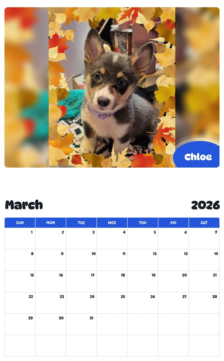 November 2025 - October 2026 Chloe - Pawidols Pet Calendar