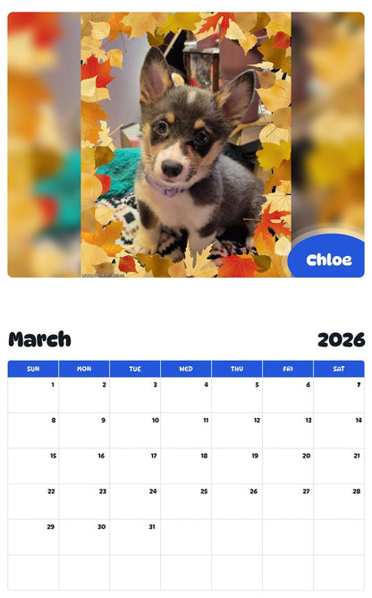November 2025 - October 2026 Chloe - Pawidols Pet Calendar