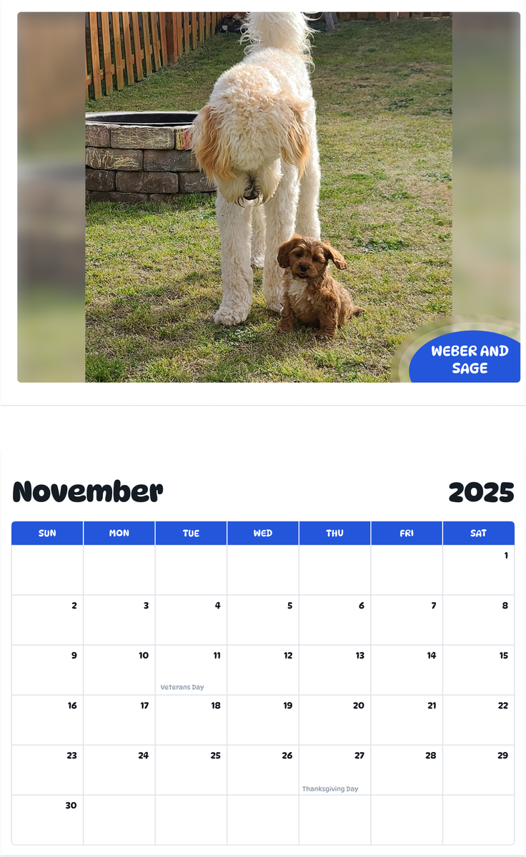 July 2025 - June 2026 weber and sage - Pawidols Pet Calendar