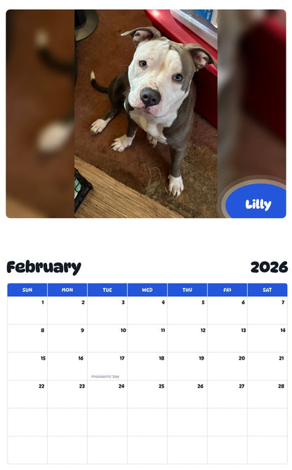 November 2025 - October 2026 Lilly - Pawidols Pet Calendar