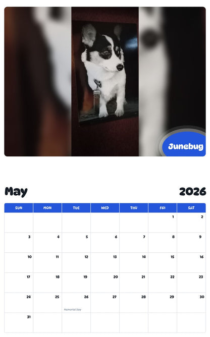 2026 - 2027 Junebug - Pawidols Pet Calendar