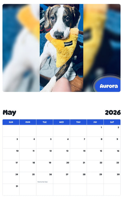 2026 - 2027 Aurora - Pawidols Pet Calendar
