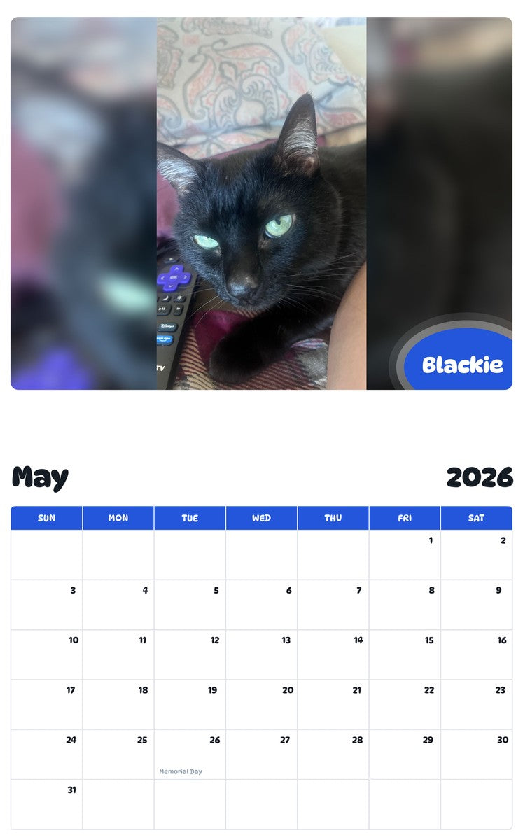 2026 - 2027 Blackie - Pawidols Pet Calendar