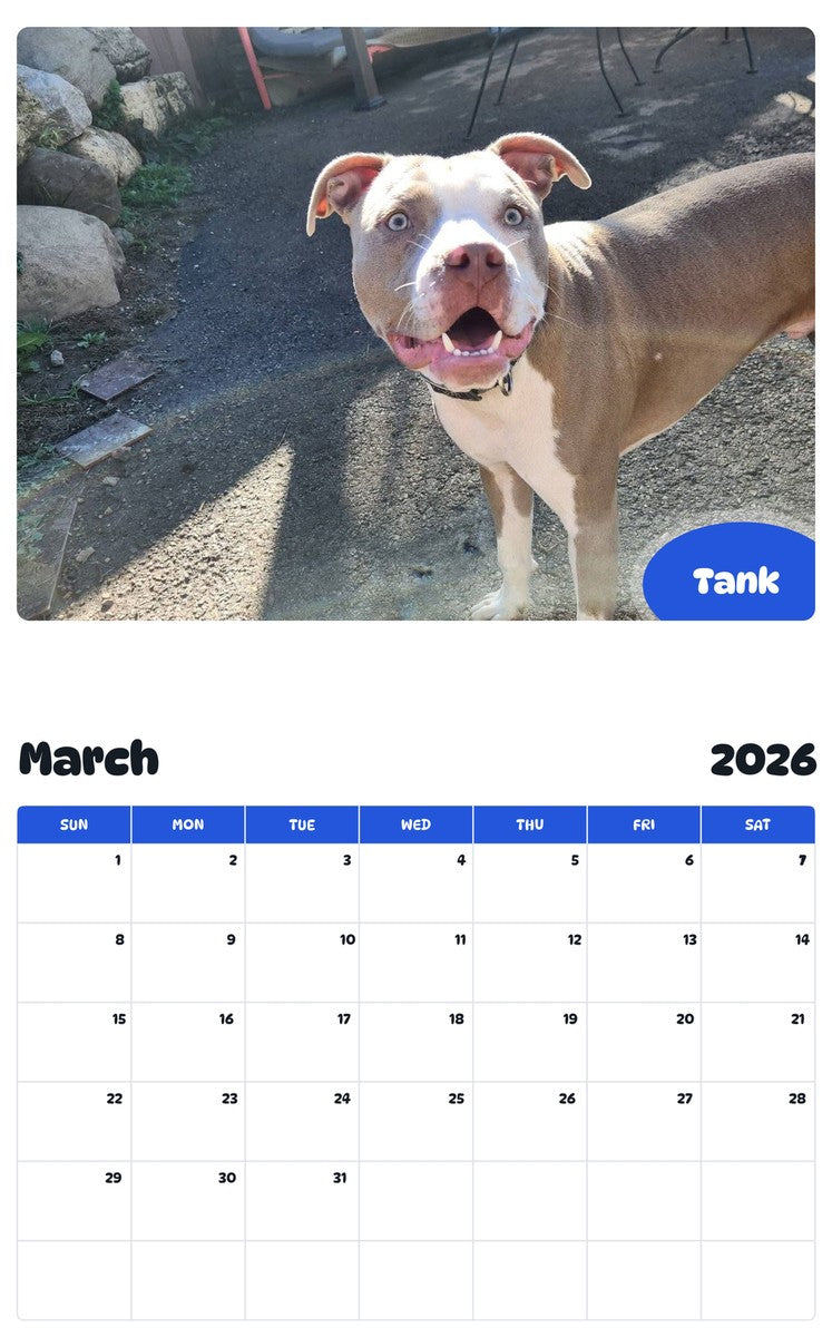 November 2025 - October 2026 Tank - Pawidols Pet Calendar