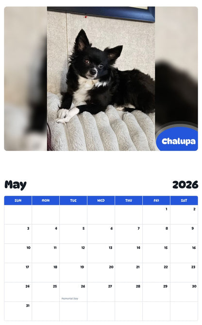 2026 - 2027 Chalupa - Pawidols Pet Calendar