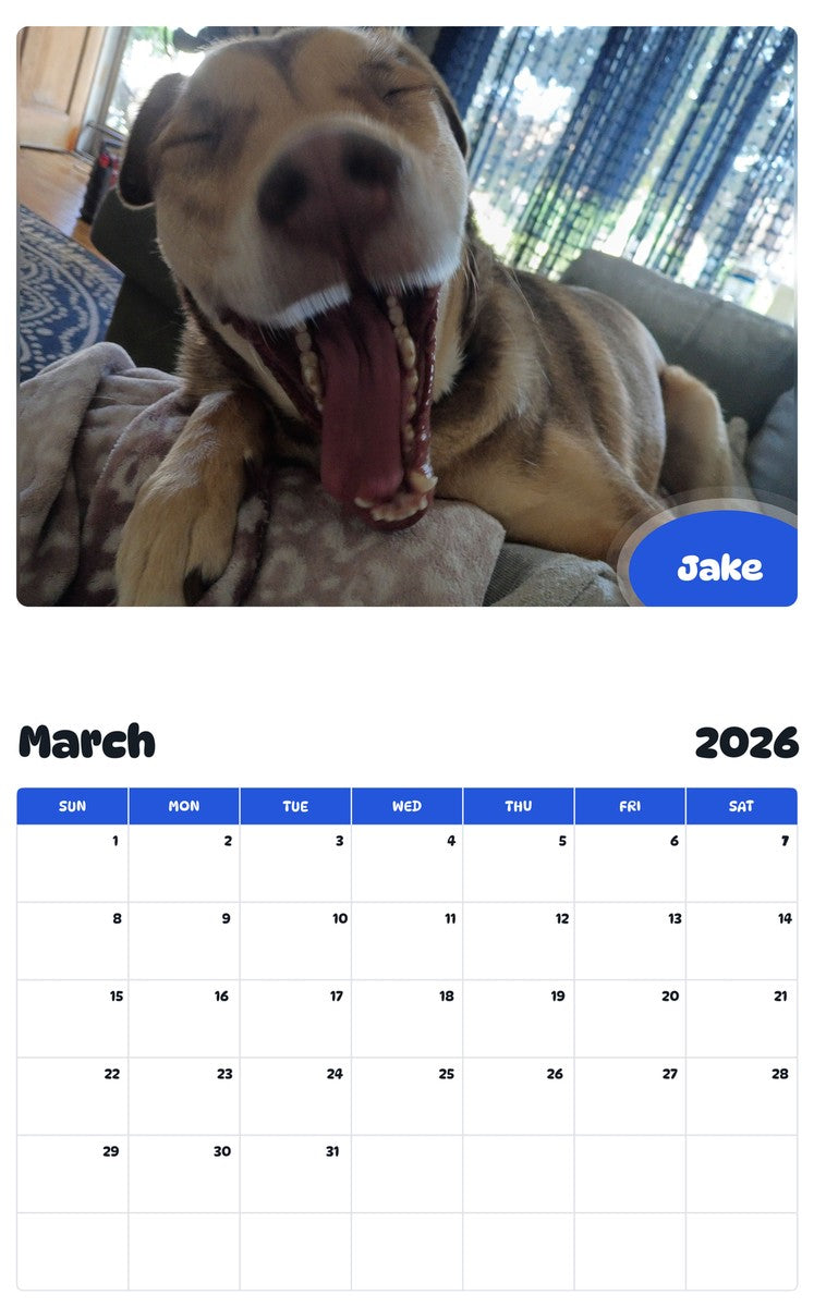 November 2025 - October 2026 Jake - Pawidols Pet Calendar