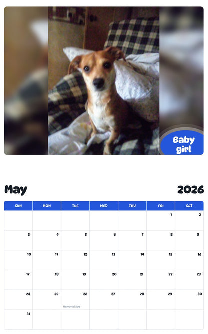 2026 - 2027 Baby girl - Pawidols Pet Calendar