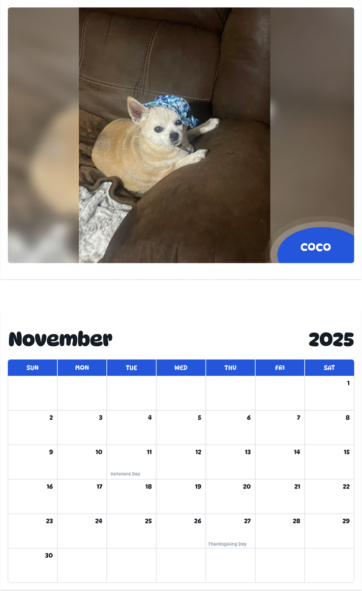 July 2025 - June 2026 Coco - Pawidols Pet Calendar