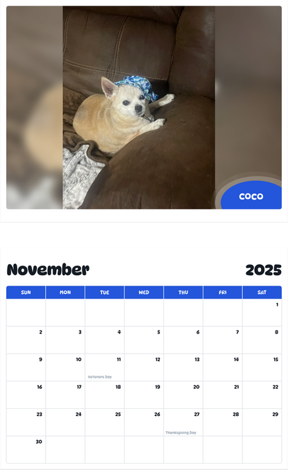 July 2025 - June 2026 Coco - Pawidols Pet Calendar
