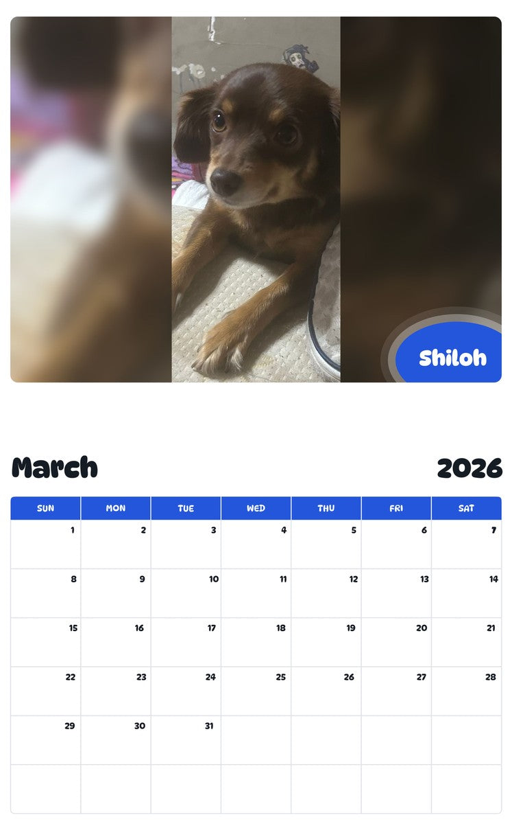 November 2025 - October 2026 Shiloh - Pawidols Pet Calendar