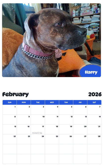 October 2025 - September 2026 Harry - Pawidols Pet Calendar