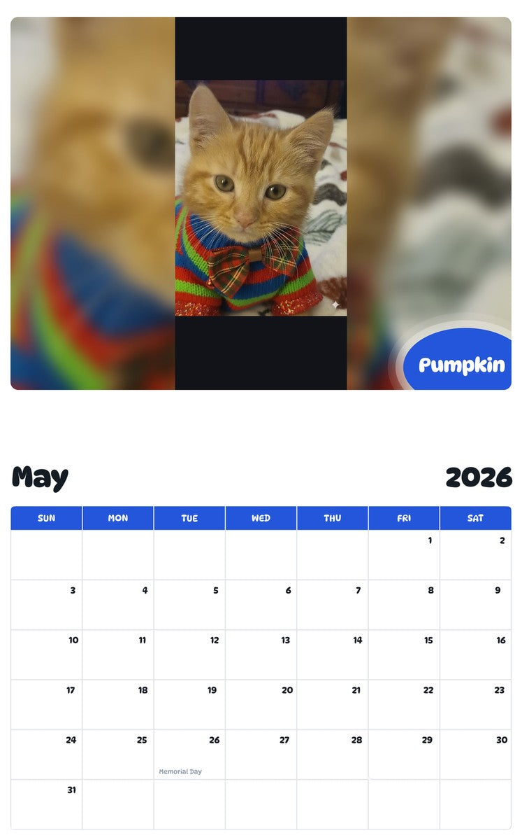 2026 - 2027 Pumpkin - Pawidols Pet Calendar